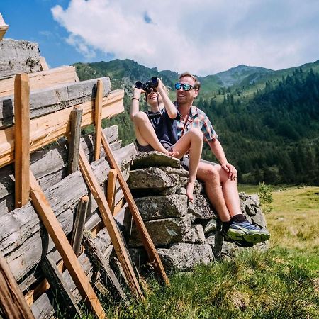 Chalet Freiblick Kleinhaid, Hollersbach Hollersbach im Pinzgau Kültér fotó