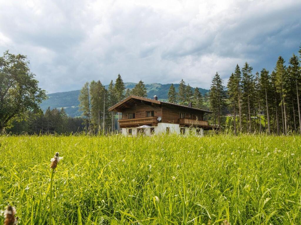 Chalet Freiblick Kleinhaid, Hollersbach Hollersbach im Pinzgau Kültér fotó