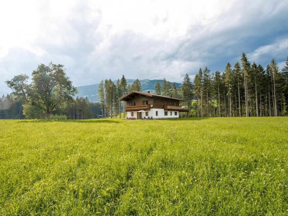 Chalet Freiblick Kleinhaid, Hollersbach Hollersbach im Pinzgau Kültér fotó