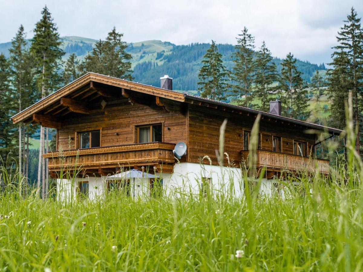 Chalet Freiblick Kleinhaid, Hollersbach Hollersbach im Pinzgau Kültér fotó