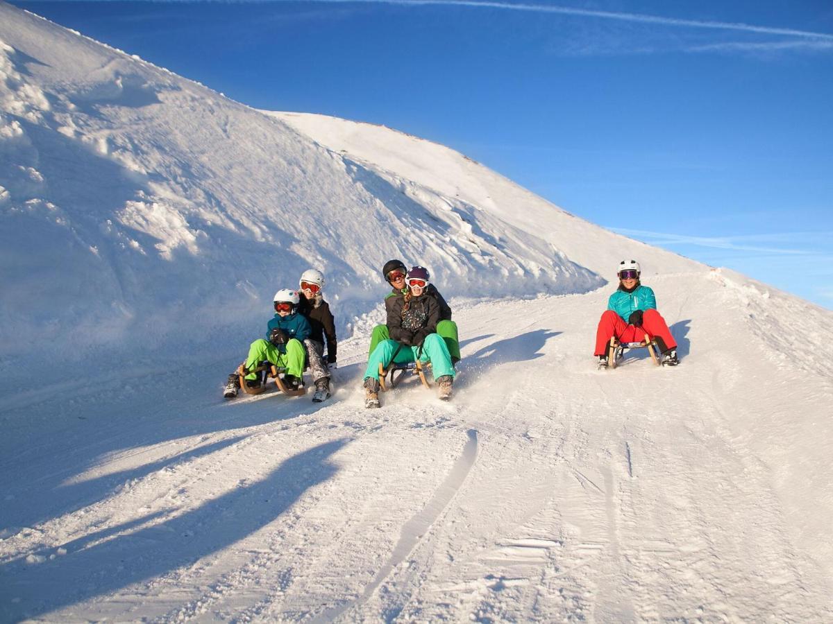Chalet Freiblick Kleinhaid, Hollersbach Hollersbach im Pinzgau Kültér fotó