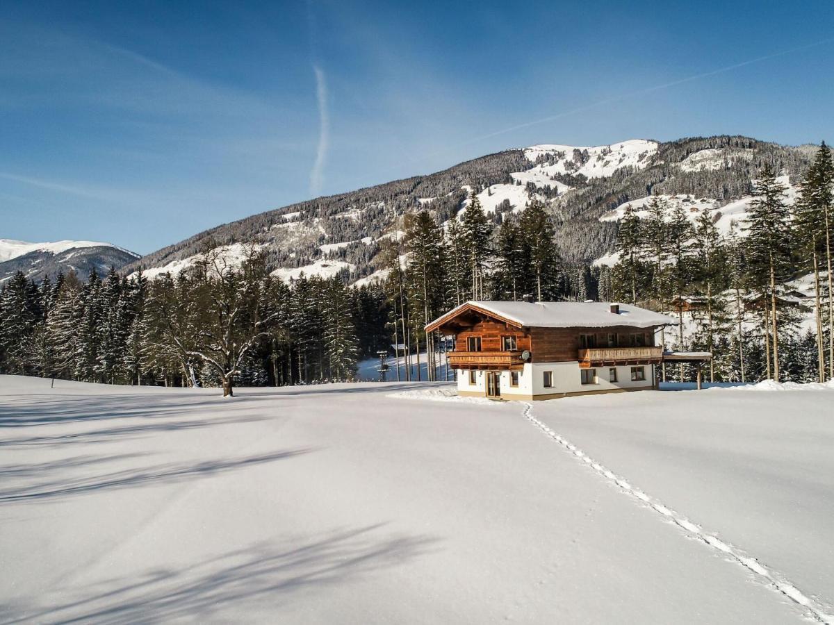 Chalet Freiblick Kleinhaid, Hollersbach Hollersbach im Pinzgau Kültér fotó